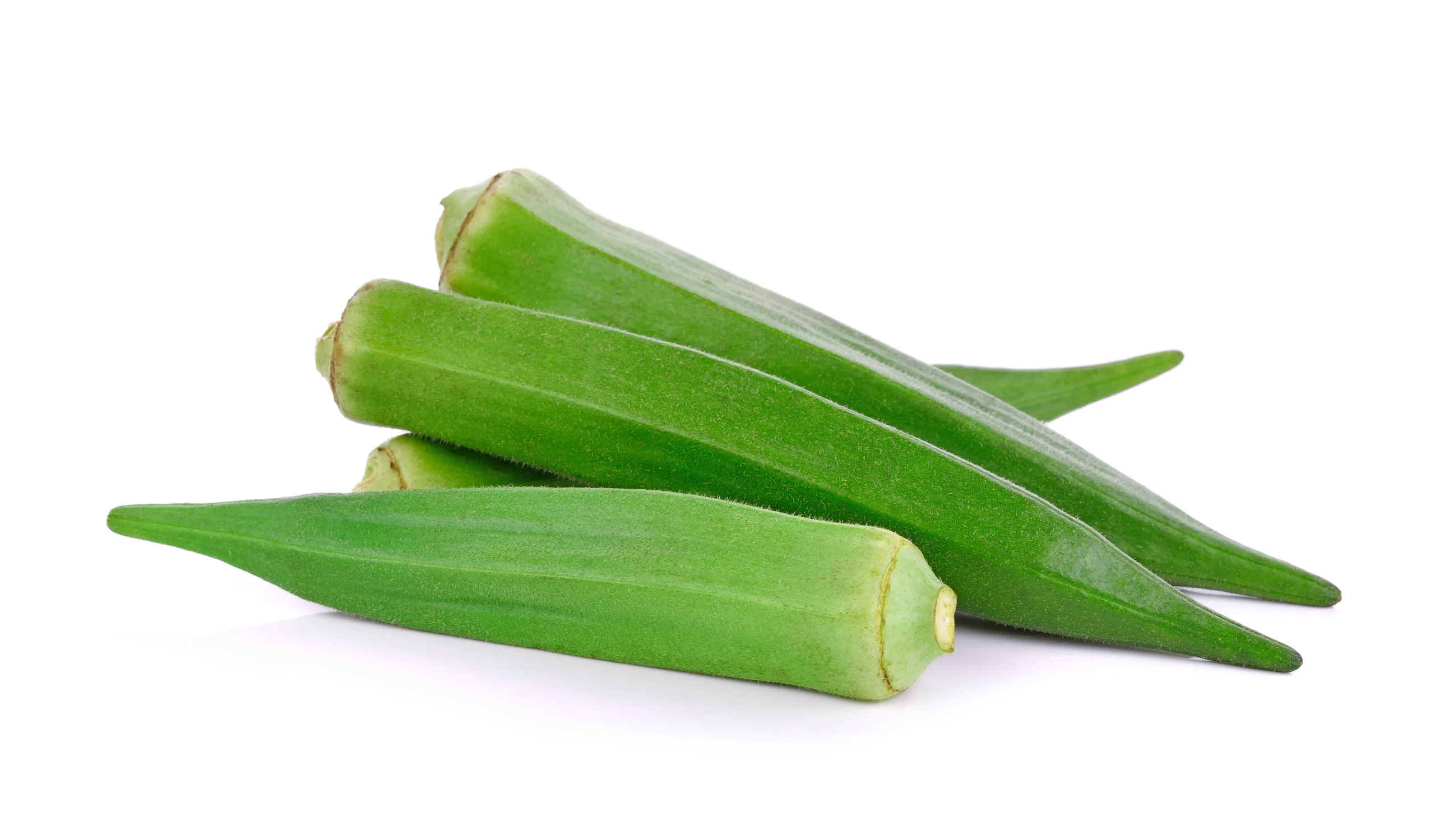 young-okra-isolated-white-background